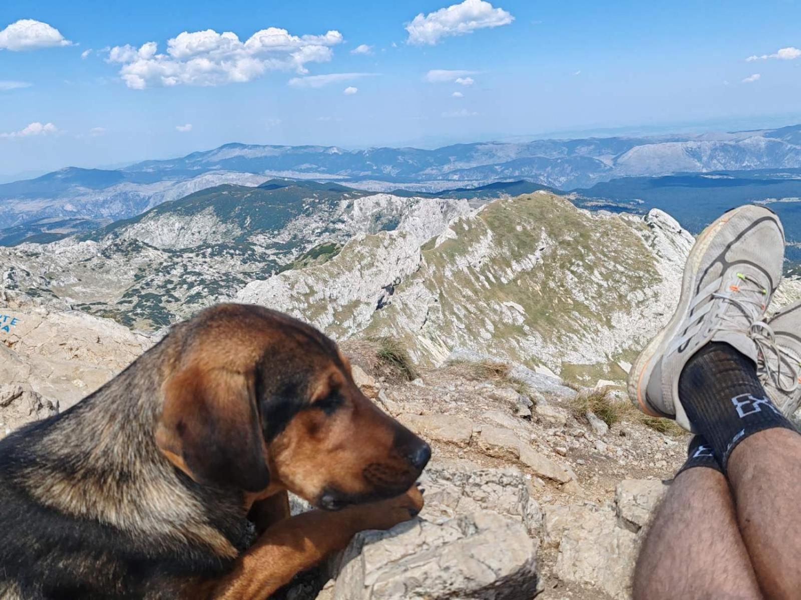 The View Smrcevo Brdo