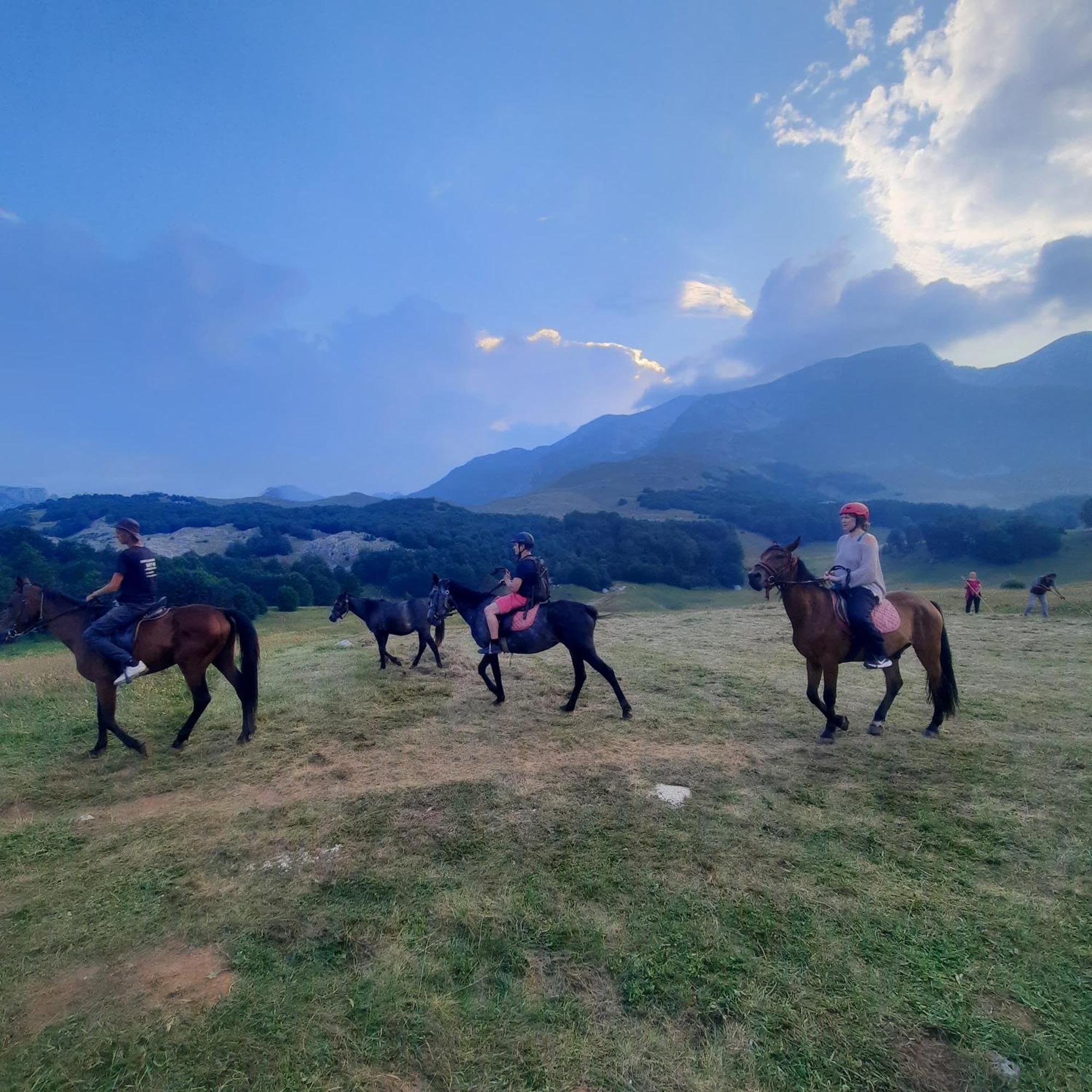 דירה The View Smrcevo Brdo זבליאק